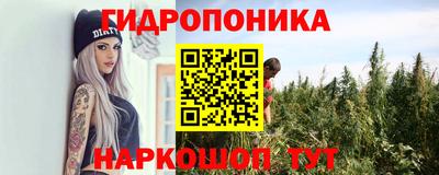 кокс Пугачёв